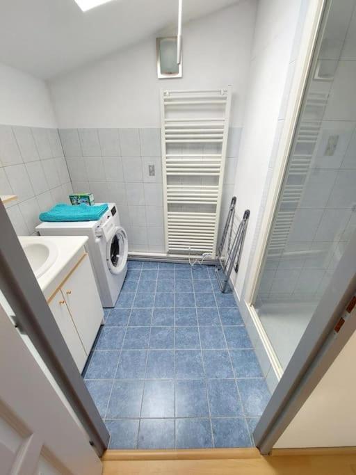 Appartement Chaleureux Remiremont Exterior foto